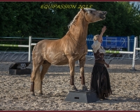 2-13JUIN 0402